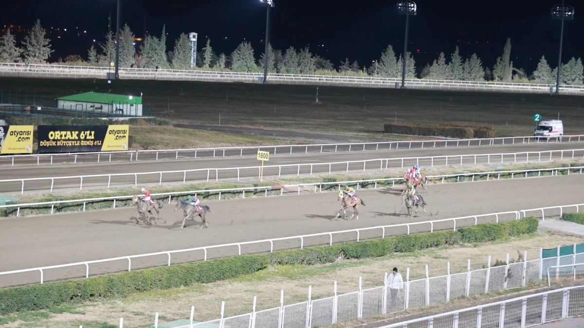 Harran Belediyesi Koşusunu Pirate Of The Sea kazandı