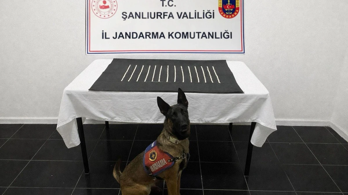 Urfa'da zehir tacirlerine geçit yok