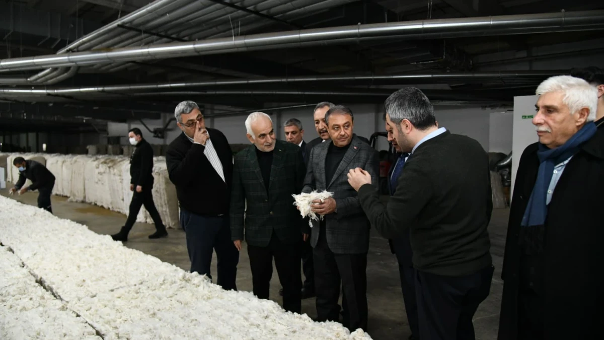 Vali Şıldak organize sanayi bölgesinde