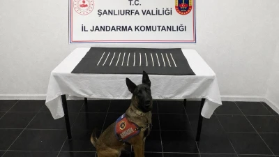 Urfa'da zehir tacirlerine geçit yok