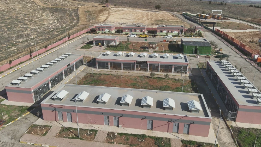 Sahipsiz hayvanların toplanmasında hedefe ulaşıldı