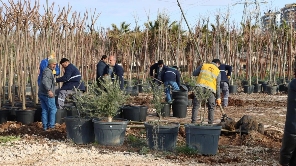Urfa’da ağaç ve bitki dikimleri hızlandı