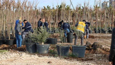 Urfa’da ağaç ve bitki dikimleri hızlandı