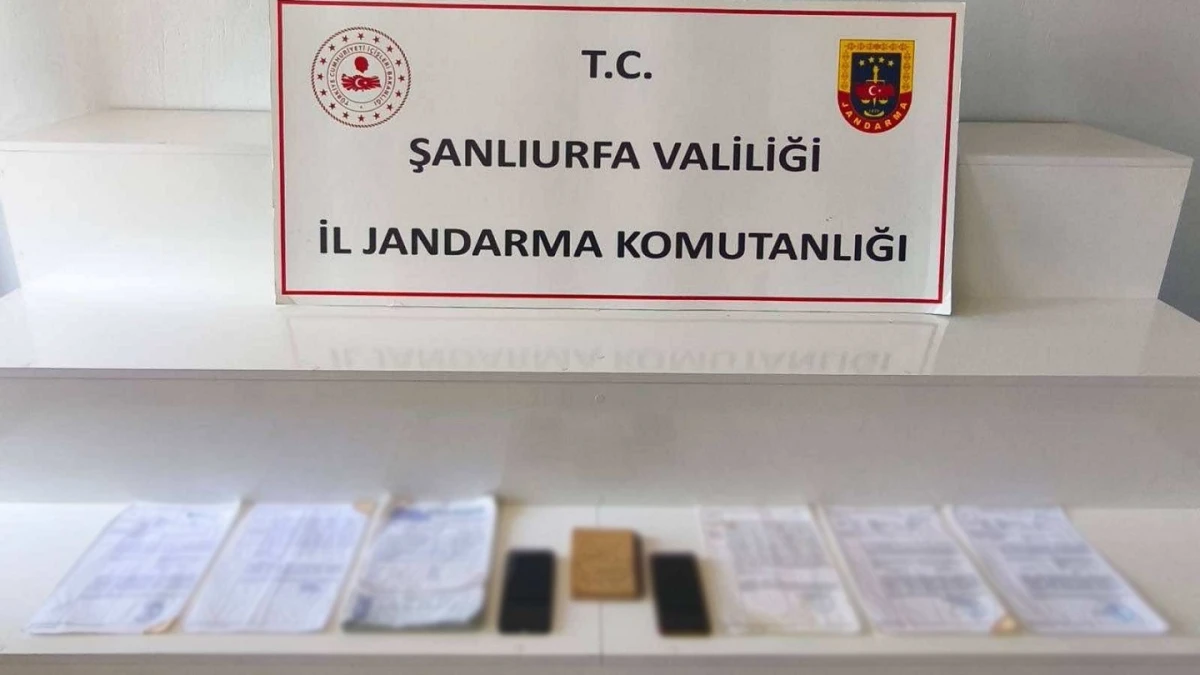 Viranşehir'de tefeci şebekesine darbe!