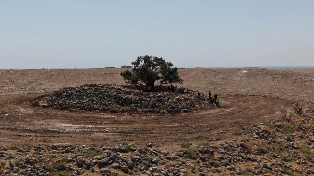 ŞANLIURFA’DA 13 ASIRLIK ANIT ZEYTİN AĞACI İÇİN ÇEVRE DÜZENLEMESİ