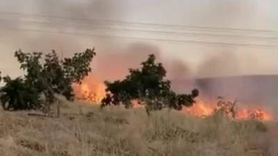 Bozova'da Korku Dolu Anlar! Yangın Büyümeden Ekipler Seferber Oldu
