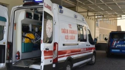 Ceylanpınar’da İki Araç Çarpıştı: 3 Yaralı