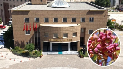 Urfa’da fıstık hırsızlığına karşı Valilik etkili tedbirler aldı