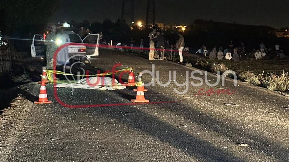URFA’DA FECİ KAZA: ARAÇ İNEK SÜRÜSÜNE ÇARPTI, ÇOBAN HAYATINI KAYBETTİ