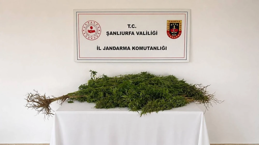 Ana Manşet