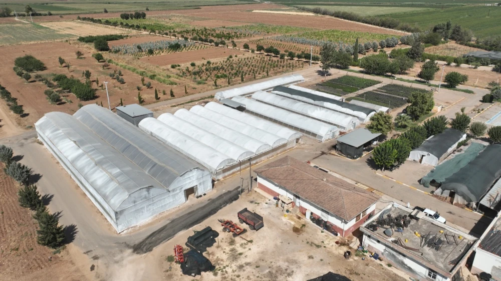 URFA’DA 500 BİN MEVSİMLİK ÇİÇEK ÜRETİLECEK