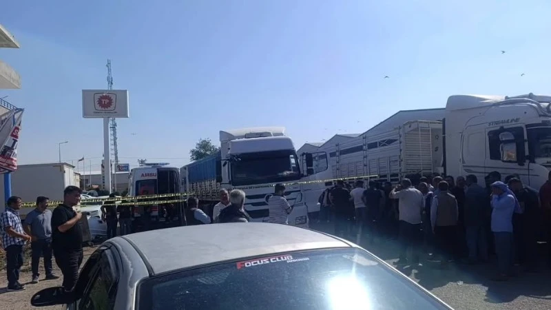 URFA VİRANŞEHİR’DE ŞOKE EDEN OLAY! TIR’IN İÇİNDE HAREKETSİZ BULUNDU