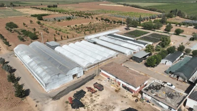 URFA’DA 500 BİN MEVSİMLİK ÇİÇEK ÜRETİLECEK