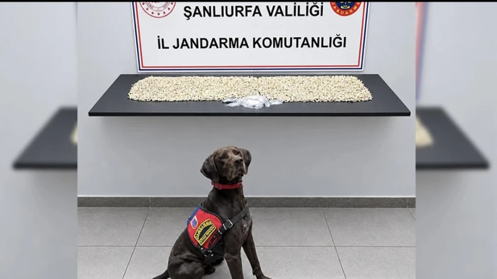 ŞANLIURFA’DA DEV UYUŞTURUCU OPERASYONU!