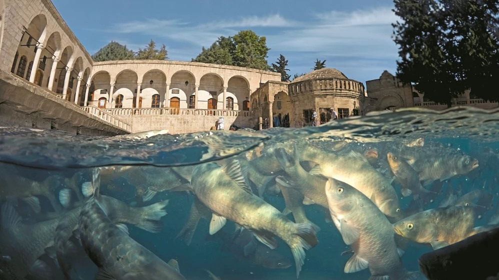 DÖRT KITANIN MÜZİĞİ ŞANLIURFA’DA BULUŞUYOR